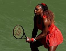 乐动体育- 蒂姆现状 